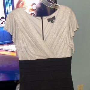 Collection Dressbarn- Size 12 Glittering Silver and Black Dress